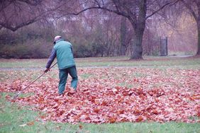 Stadtgärtner machen Parkanlagen winterfest. Foto: Gartenamt