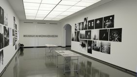 Die Sonderausstellung "Position Palermo Palermo" ist vom 6. September bis zum 30. Dezember im Stadtmuseum Düsseldorf zu sehen. Foto: Wilfried Meyer