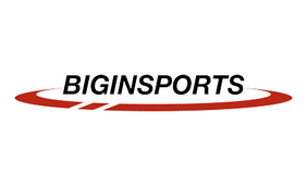 Logo BIGinSports