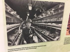 Ausstellung zur Umweltbewegung in der DDR