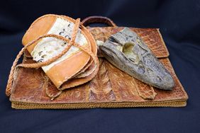 vom Zoo beschlagnahmte Urlaubs-Souvenirs aus Krokodilleder