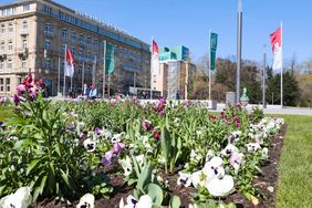 Am Corneliusplatz bringen über 11.000 blühende Pflanzen den Frühling in die Innenstadt.