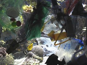 Den Tieren schadet die Installation nicht. Sämtlicher Müll befindet sich in einem Hohlraum aus Plexiglas, der vor der Aquarienscheibe angebracht ist. So entsteht nur der Eindruck, dass der Abfall im Wasser treibt; Foto: Aquazoo Löbbecke Museum