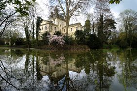 Wildgemüse und Frühlingsblüher sind Thema der Exkursion in den Eller Schlosspark. Foto: Landeshauptstadt Düsseldorf/Gartenamt