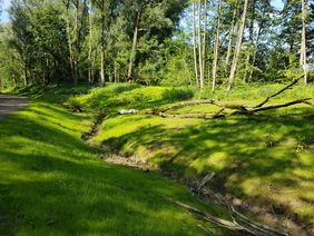 Der fertiggestellte Bauabschnitt am Pillebach bietet bereits neuen Lebensraum für viele Tierarten.