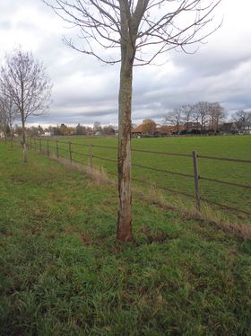 Landeshauptstadt Düsseldorf/Garten-, Friedhofs- und Forstamt