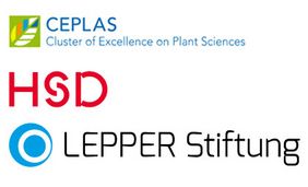 Logos CEPLAS, HSD, Lepper Stiftung
