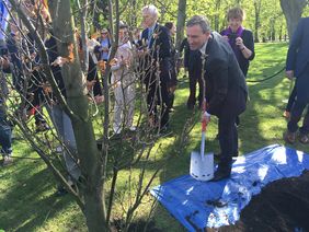 In der Allee der Gedächtnisbäume pflanzte Oberbürgermeister Geisel einen Baum