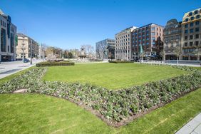 Am Corneliusplatz bringen über 11.000 blühende Pflanzen den Frühling in die Innenstadt.