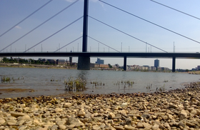 Eine Abkühlung im Rhein mag bei hohen Temperaturen verlockend wirken, doch es herrscht Lebensgefahr! Foto: Landeshauptstadt Düsseldorf
