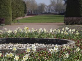 Der Pflanzring im Nordpark wird mit Wechselflor- und Staudenbeeten hergerichtet. Foto: Wilfried Meyer