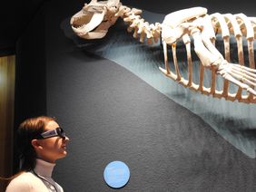 Der Aquazoo untersucht das Besucherverhalten: Bei einem Pilotversuch kam im Aquazoo erstmals eine "Eye-Tracking-Brille" zum Einsatz; Foto: Aquazoo Löbbecke Museum