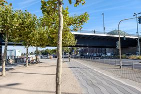 Der Radweg entlang des Rheins ist die meistfrequentierte Radverkehrsachse in Düsseldorf. In diesem Jahr wurden an der Dauerzählstelle am Mannesmann-Ufer bereits über 830.000 Radfahrende registriert. Foto: Uwe Schaffmeister