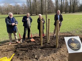 Aus Anlass der Auszeichnung pflanzten (v.l.)  DBG-Geschäftsführer Jochen Sandner, Beigeordneter Jochen Kral, Gartenamtsleiterin Doris Törkel und DBG-Vorsitzender Hajo Hinrichs einen Amberbaum im ehemaligen BUGA-Park. Foto: Buch