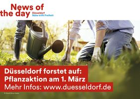 Die Stadt lädt die Düsseldorferinnen und Düsseldorfer am Freitag, 1. März, ein, aktiv die Walderweiterung in Düsseldorf zu unterstützen. 