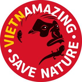 Logo der Vietnamazing-Kampagne