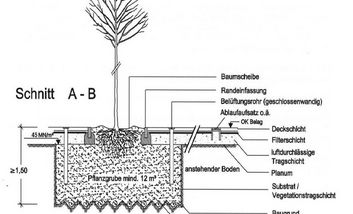 Schema einer Baumgrube