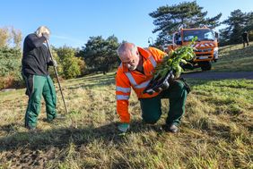 Gartenamtsmitarbeiter Verena Faber und Semih Diril haben die ersten von insgesamt 10.000 Wiesenstauden gesetzt. Foto: Melanie Zanin