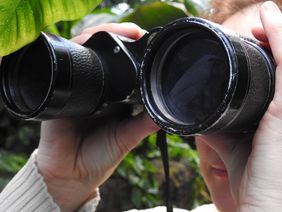 Ferngläser werden für die Feldforschung dringend benötigt.