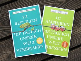 Cover-Fotografie der beiden Bücher, die auf einem Holzboden liegen
