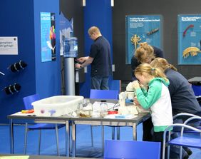 Kinder mikroskopieren am Aquazoo-Stand auf der Messe "boot"