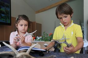 Elisa (5 Jahre) und Vincent (7 Jahre) findes das Lehrmaterial der neuen Waldschule auf Anhieb interessant. Foto: David Young