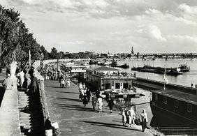 Spaziergang am Rhein, Rheinpark, um 1955