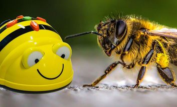 Foto von einer Biene und einem Bienen-Roboter aus Kunststoff