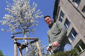 Düsseldorf setzt auf moderne Bewässerungssensorik: An Testbäumen im gesamten Stadtgebiet messen insgesamt 300 Sensoren die Wasserspannung im Wurzelbereich. Sascha Ronsdorf-Beer vom Gartenamt checkt die Technik vor Ort. 