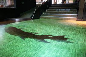 Projektion eines Fleischflossers auf dem Ausstellungsboden des Aquazoo Löbbecke Museum 