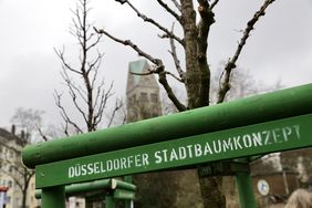 194 Baumstandorte werden bis zum Frühjahr im Rahmen des Stadtbaumkonzepts erstellt oder saniert. Foto: Ingo Lammert