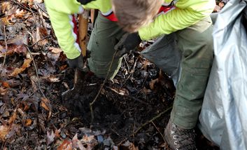 Abschluss der Pflanzsaison: Düsseldorf stärkt seinen Stadtwald