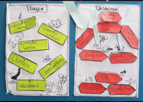 Flipchartergebnisse im Schulklassenseminar zu "easy nachhaltig" © zeTT