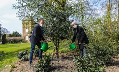 Die neu gepflanzte Stechpalme, Baum des Jahres 2021, wird symbolisch angegossen durch Gartenamtsleiterin Doris Törkel und Matthiss Pasch, Abteilungsleiter Grünanlagen. Foto: Melanie Zanin