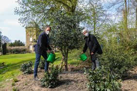 Die neu gepflanzte Stechpalme, Baum des Jahres 2021, wird symbolisch angegossen durch Gartenamtsleiterin Doris Törkel und Matthiss Pasch, Abteilungsleiter Grünanlagen. Foto: Melanie Zanin