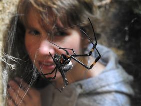 Anna Bartz mit einer Seidenspinne (Nephila senegalensis)