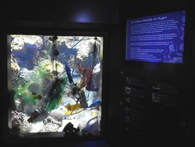 Den Weltwassertag (22. März) hat der Aquazoo zum Anlass genommen, um mit einer weiteren Installation auf die Gefahren für die Meere und deren Bewohner durch Plastik und anderen Müll hinzuweisen; Foto: Aquazoo Löbbecke Museum