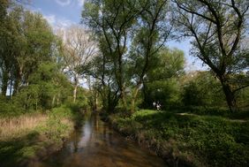 Eine von elf Führungen des Gartenamtes im September: Exkursion in die Urdenbacher Kämpe. Foto: Gartenamt