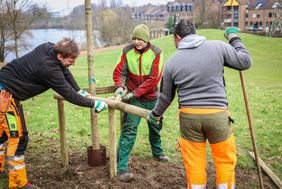 In Düsseldorf läuft die Pflanzsaison. Noch bis Ende März pflanzt die Stadt neue Bäume in den Parks und Grünanlagen, an Straßen und im Stadtwald. Ein Schwerpunkt des Planungskonzepts "Düsseldorf pflanzt Zukunft" liegt auf dem Südpark. Fotos: Zanin