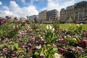 Frühlingsblumen auf dem Corneliusplatz. Foto: Melanie Zanin