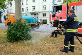 Johannes Janninhoff, Feuerwehr, und Christian Bauditz, Gartenamt, wässern die Bäume auf der Tunneldecke entlang der Fischerstraße. Foto: M. Gstettenbauer