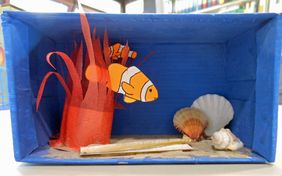 Anemonenfisch im Schuhkarton - gemeinsam wird beim Workshop "Ein Fisch als Haustier" am Donnerstag, 25. Juli, aber auch ein richtiges Aquarium eingerichtet; Foto: Aquazoo Löbbecke Museum