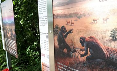 Schild des Evolutionsweges im Nordpark Düsseldorf