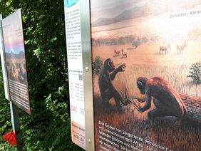 Schild des Evolutionsweges im Nordpark Düsseldorf