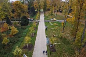 Der Weg wurde nach historischem Vorbild wieder in die Allee zwischen den beiden Baumreihen verlegt. Foto: David Young