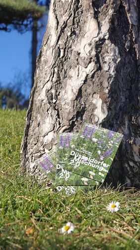 Saatgutmischung für einen Quadratmeter Wildblumenwiese an Baum gelehnt