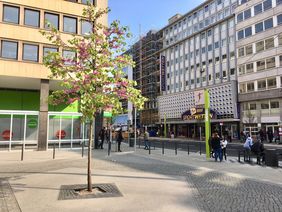 Die Lichtstelen säumen gemeinsam mit dem natürlichen Grün prägnant das "Tor zur Innenstadt". Foto: Amt für Verkehrsmanagement