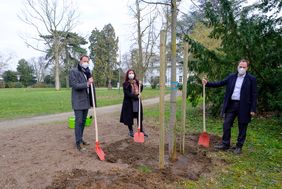 OB Stephan Keller (r.), Gründezernentin Hela Stulgies und Matthias Pasch, Abteilungsleiter Grünanlagen im Gartenamt, haben zum Abschluss der Pflanzsaison einen Zürgelbaum im Park Lantz gepflanzt. Foto: Uwe Schaffmeister